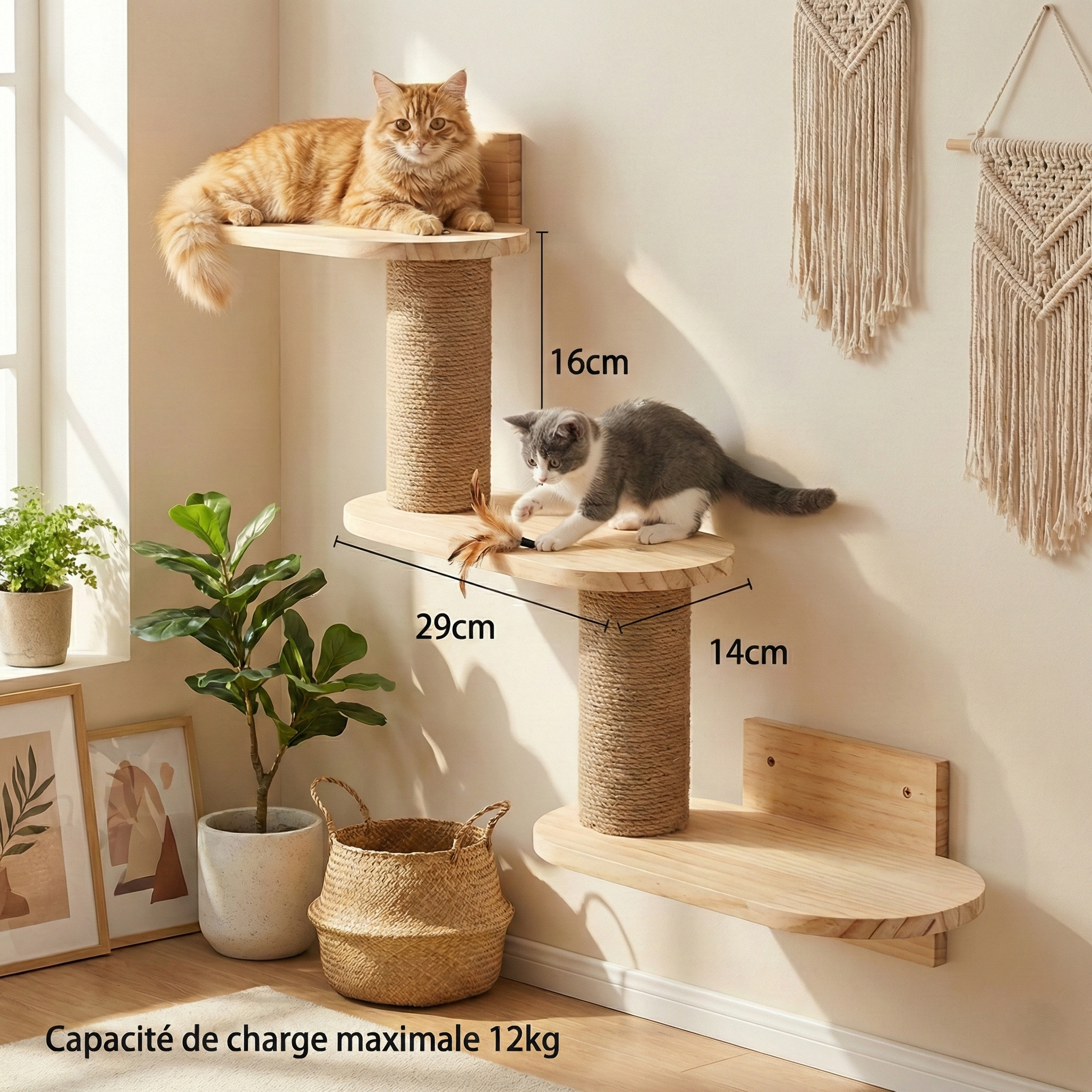 Parcours Mural pour Chat SkyWalk HammiePets - Arbre à Chat Mural en Bois de Pin Massif - Modulable & Gain de Place