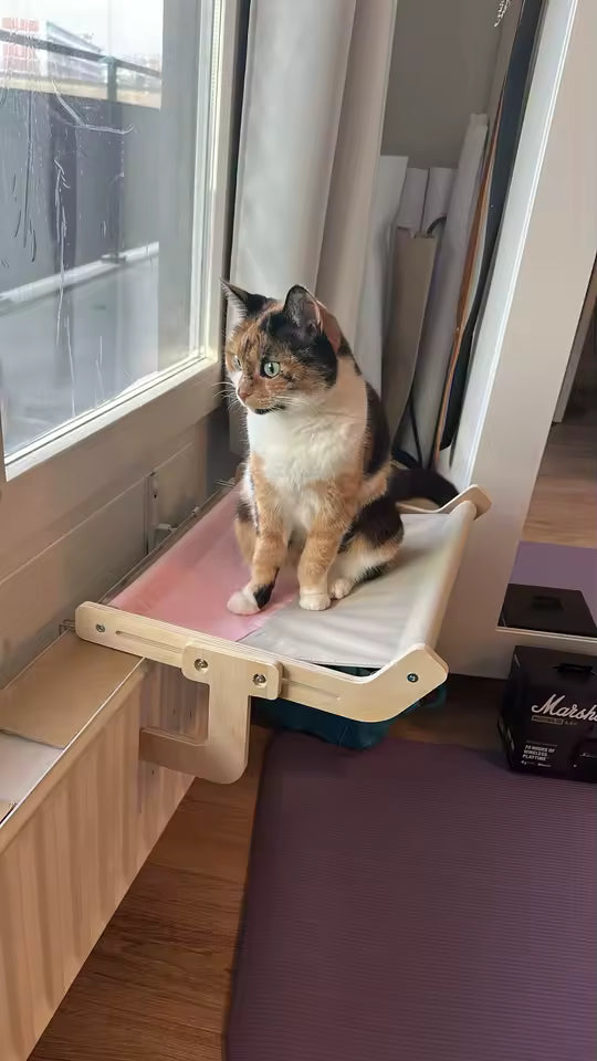 Photo client HammiePets