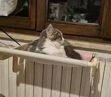 Photo client HammiePets