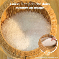 Arbre à chat design Dino de 114cm en rotin tressé bohème, avec plateforme et cachettes pour chat, par HammiePets
