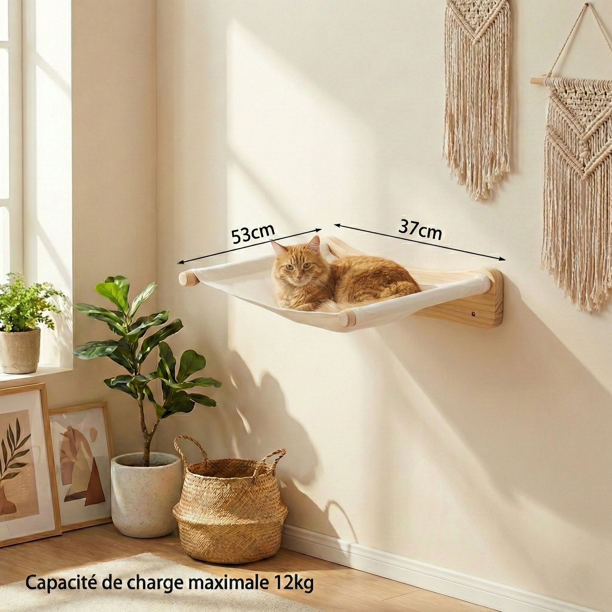 Parcours Mural pour Chat SkyWalk HammiePets - Arbre à Chat Mural en Bois de Pin Massif - Modulable & Gain de Place