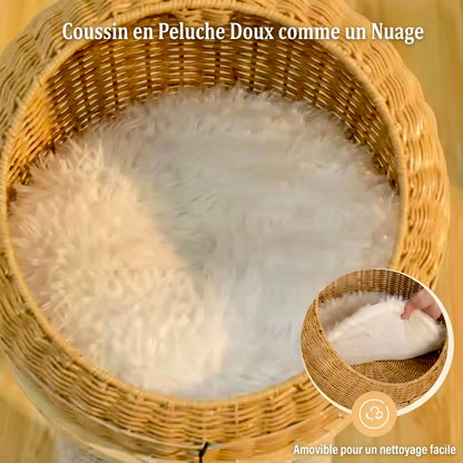 Arbre à Chat Design Dino HammiePets - 114cm - Maison en Rotin & Griffoir Sisal - Style Bohème